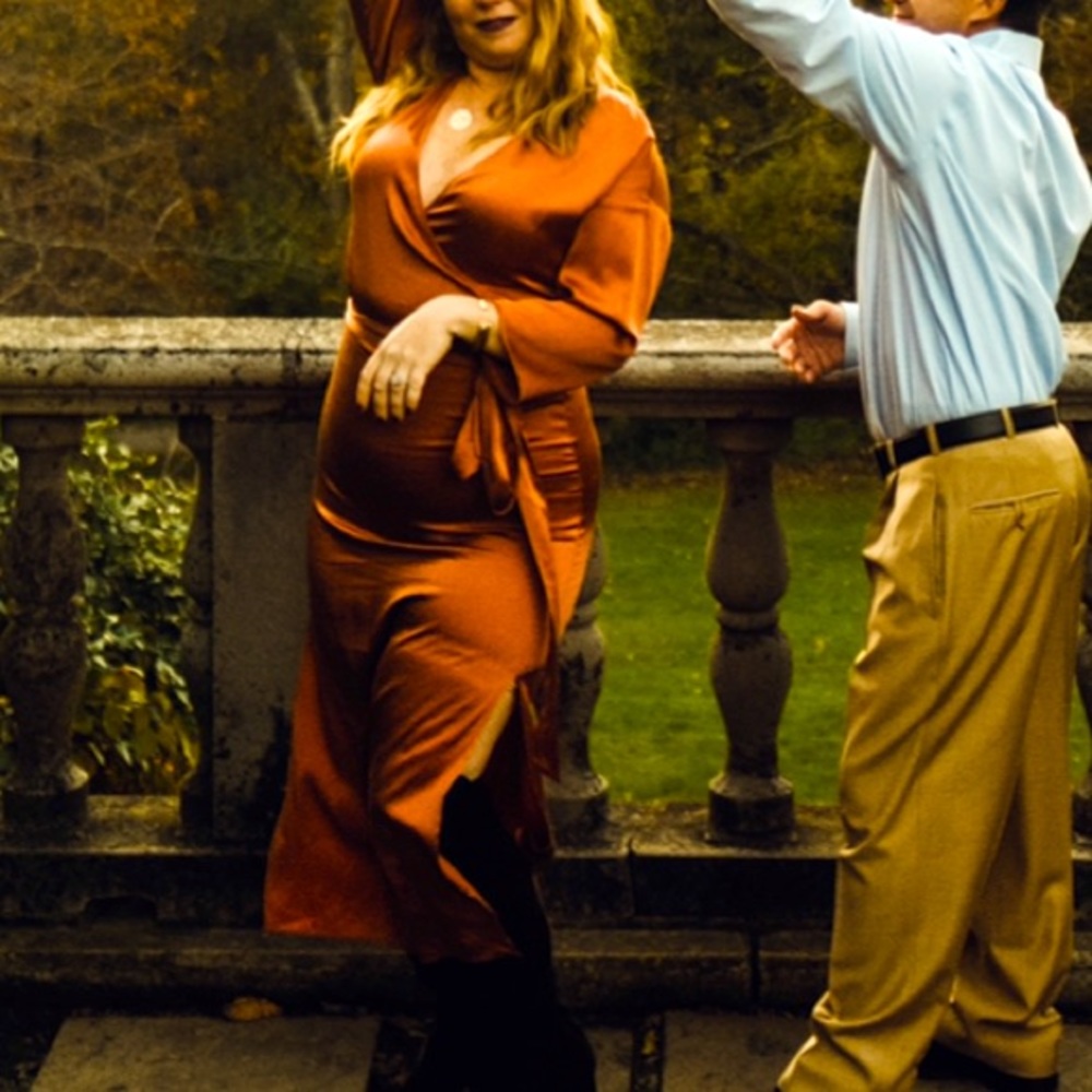 V neck terracotta silky dress